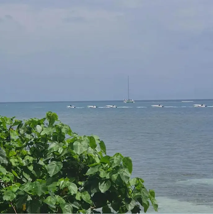 Scenic Ocean View Home Lucea 0*,  Jamaica
